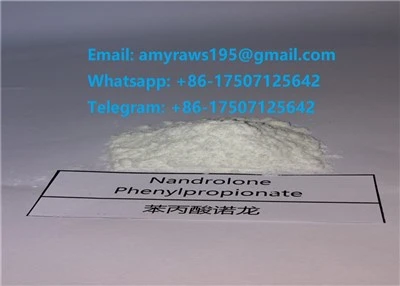 Nandrolone Phenylpropionate Hormone Powder