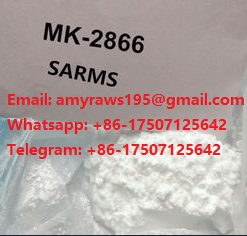 Bedak Mk 2866 Untuk Binaraga