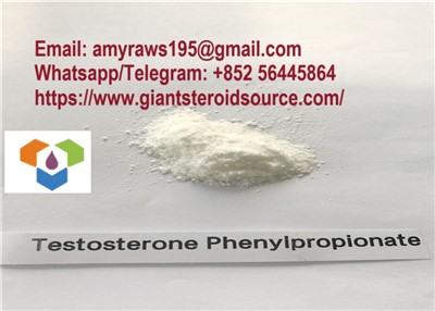 Anabolik Steroid bubuk testosteron Phenylpropionate