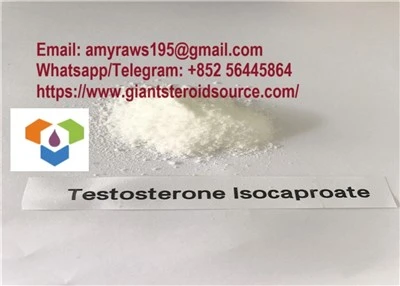 CAS 15262-86-9 Testosteron ISO Mentah Steroid Putih Bubuk Testosteron Isocaproate Untuk Binaraga