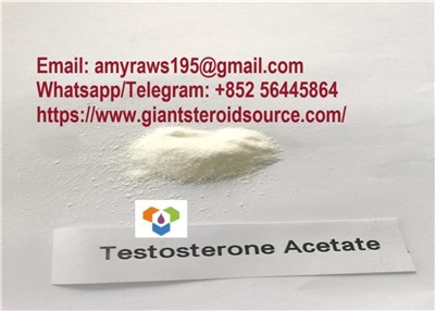 Testosteron asetat bubuk harga 99% kemurnian