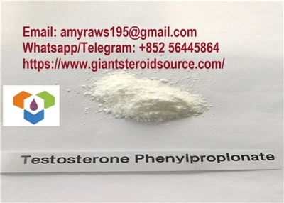 Testosteron Phenylpropionate Steroid Powder CAS 1255-49-8