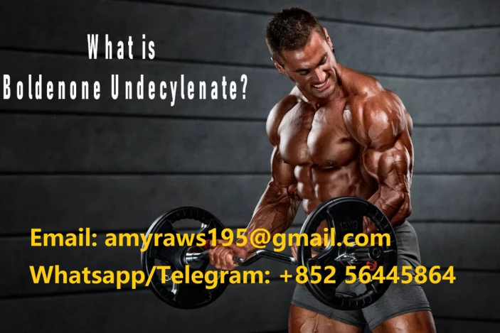 news-703-469