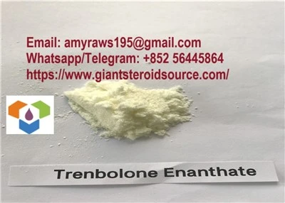 99% Bubuk Trenbolone Enanthate Murni Kualitas Tinggi